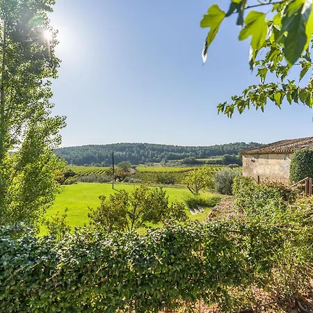 Romeu Rural Entre Vinedos *