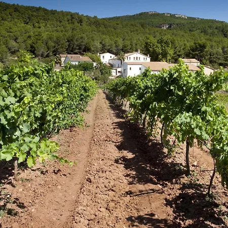 Holiday home Romeu Rural Entre Vinedos